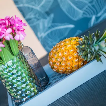 别墅 Villa Amor 莫斯塔尔