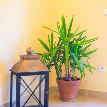 Villa Amor * 莫斯塔尔